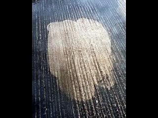 Rotary Floor Cleaner | Suttner Turbo Devil 12