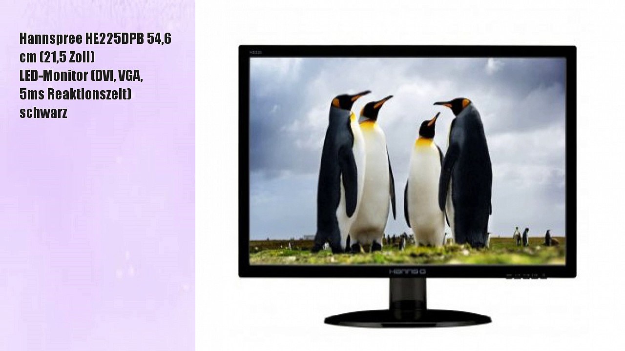 Hannspree HE225DPB 54,6 cm (21,5 Zoll) LED-Monitor