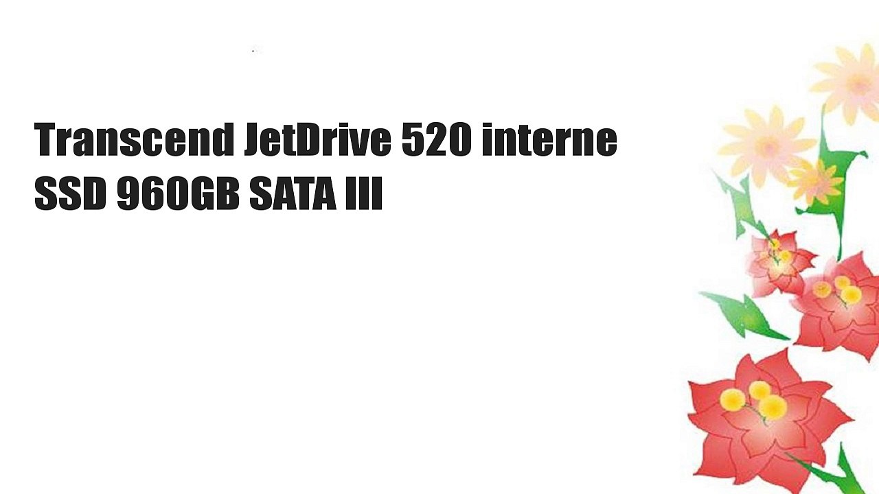 Transcend JetDrive 520 interne SSD 960GB SATA III