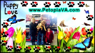 Pet Supplies Waynesboro VA | Petopia | 866.738.7972