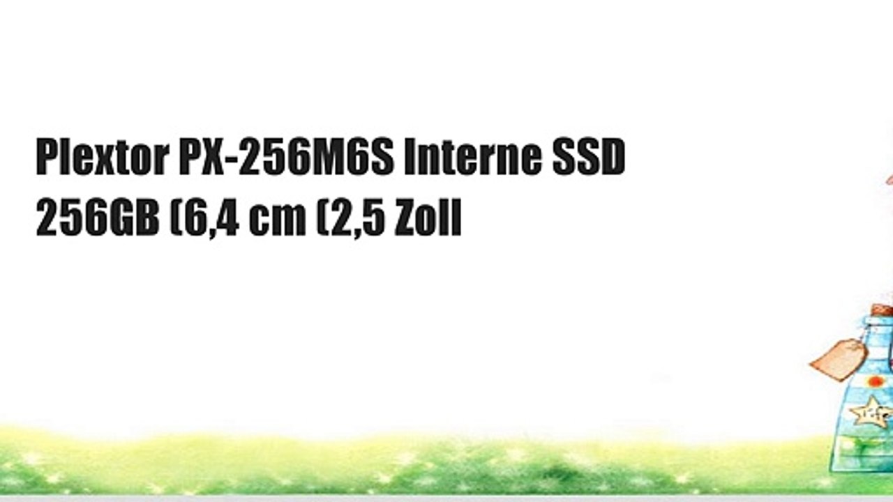 Plextor PX-256M6S Interne SSD 256GB (6,4 cm (2,5 Zoll