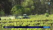Pesticides : une famille porte plainte contre X après la mort d'un viticulteur