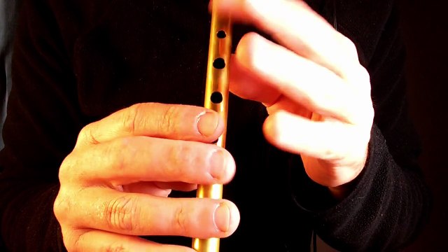 The Humours of Lissadell (2) - tutoriel flûte irlandaise - Tradschool