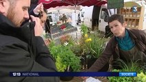 De plus en plus de jardins potagers au cœur des villes françaises