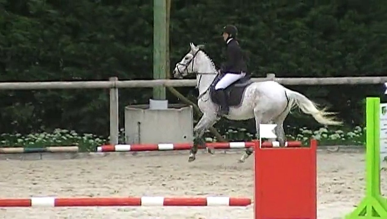 CSO St Lager le 25.04.2015 - spéciale 95cm