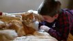 Incredible reunion of boy and missing 11-year-old cat