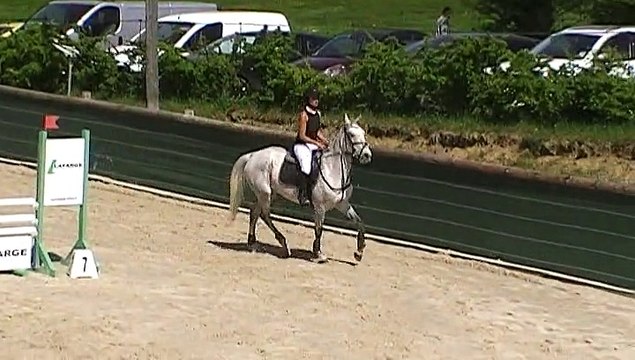 CSO St Lager le 24.04.2015 - Vitesse 95cm