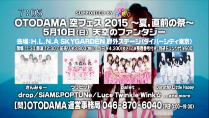 sakusaku.15.04.27 (2)　焼き鳥を焼く人　トトロの人　カサリンチュ登場