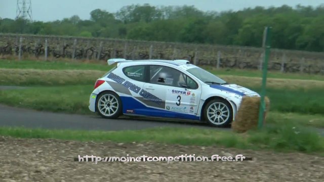 Guirlande 2015 - Reynald MOINET