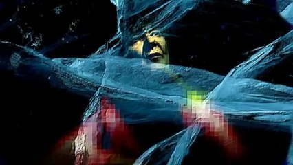 Jacques Higelin - Le Minimum