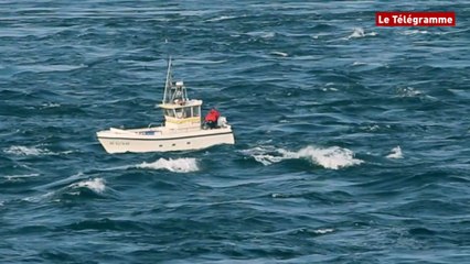 Bar. Les ligneurs de retour dans le raz de Sein