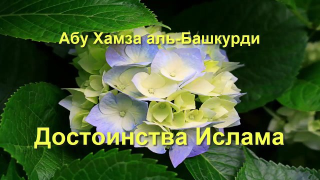 Абу Хамза аль-Башкурди - Достоинства Ислама