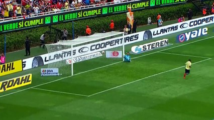 Mexique - La superbe feuille morte Aguilar des 35 m