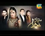 Mere Khuda Episode 38 Promo 27 April 2015 Full Hum Tv