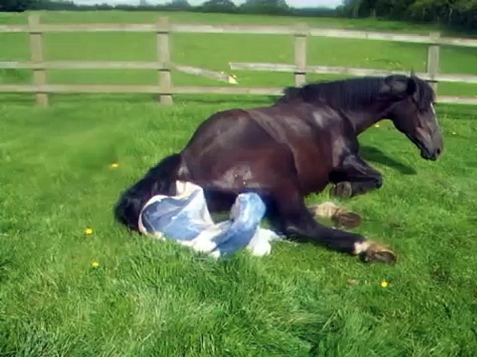 RID Mare foaling