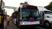 MTA New York City Bus 2009 Orion VII Next Generation Hybrid 3994 & 1998 NovaBus RTS-06 9591