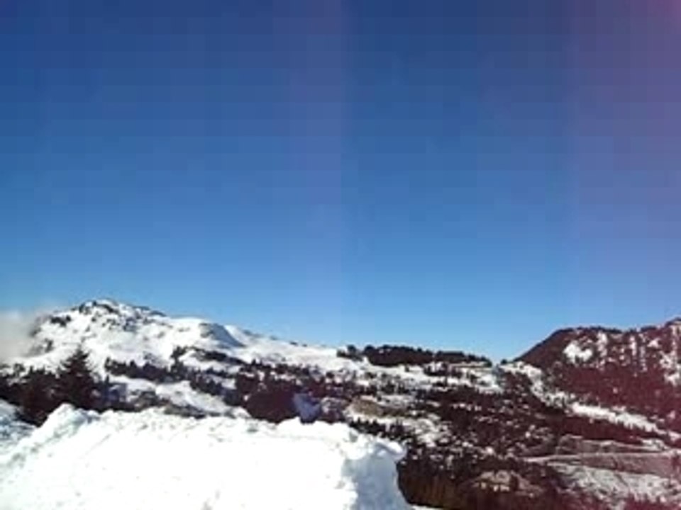 MVI_0771