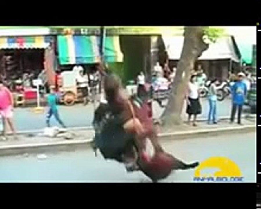When horses attack humans- Compilation 2015