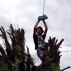 Ağacın tepesinde çarpılan çocuk