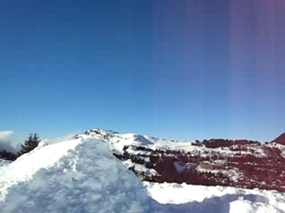 MVI_0773