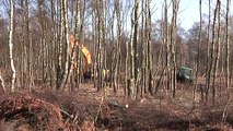 Fell Trees, John Deere dragging trees