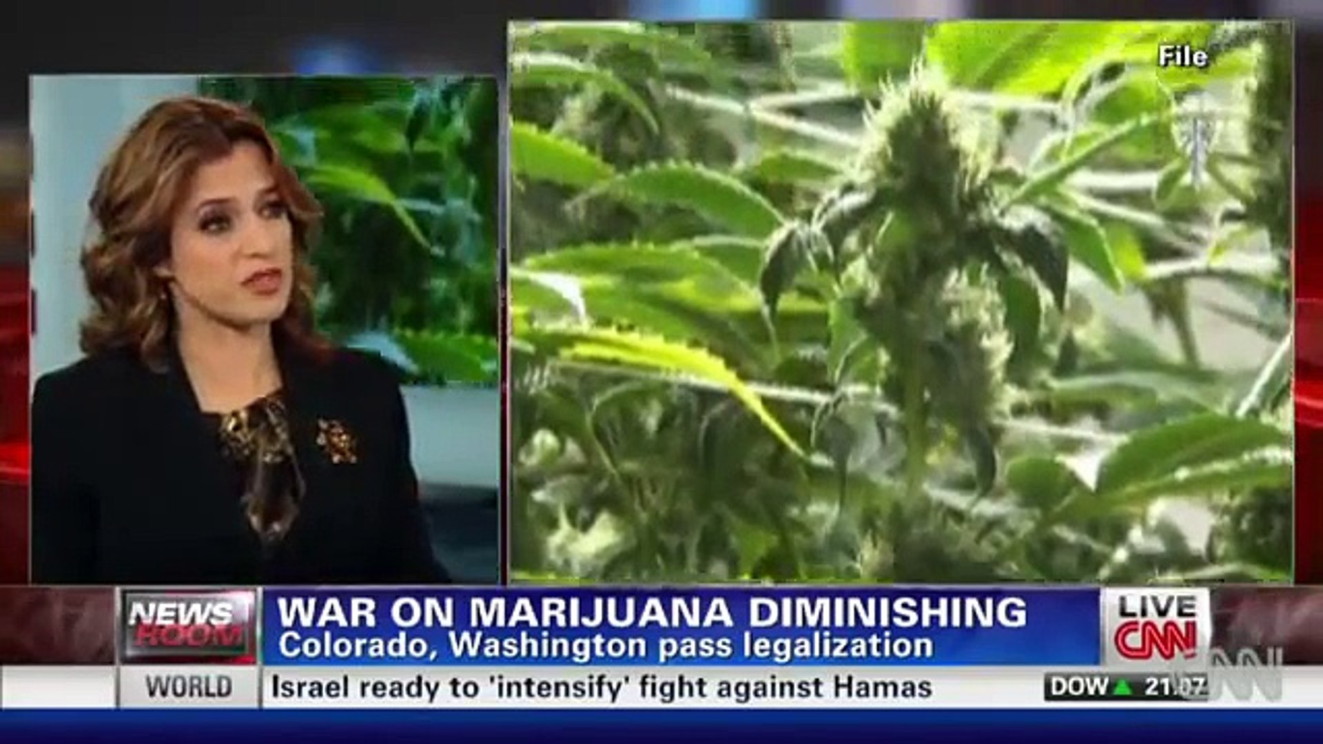 War on marijuana diminishing