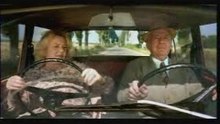 Humor behind the wheel