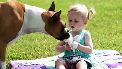 Dog eat ice cream