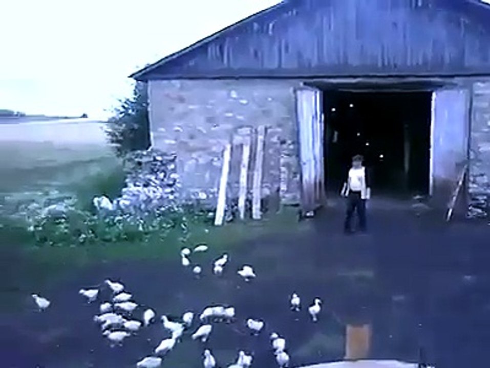 Diktatörlük