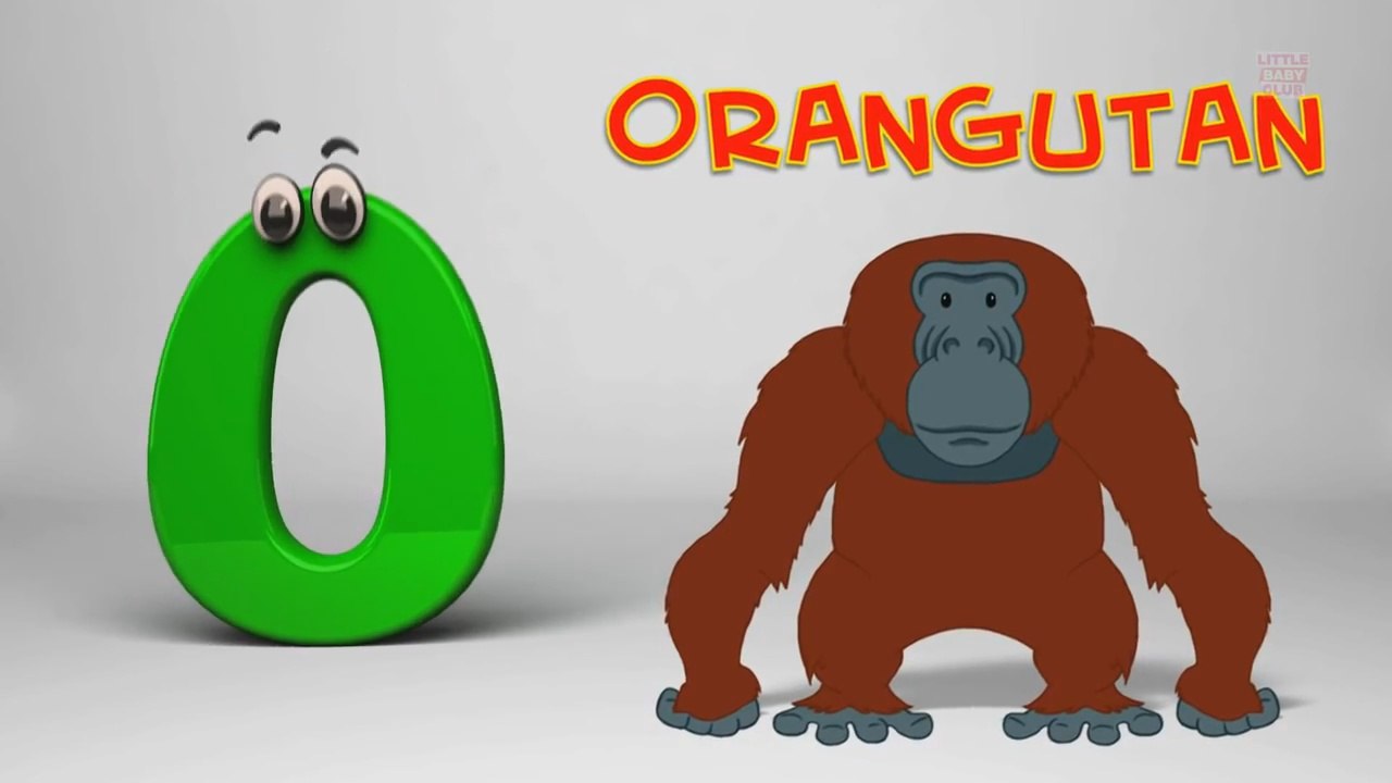 ABC Song - Phonics Letter O - Alphabet Songs