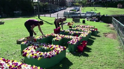 Australians 'keep hope alive' as Indonesia executions loom