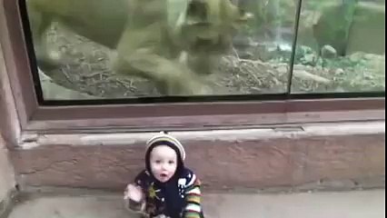 La naissance d'une grande amitié entre une lionne et un petit bébé 3