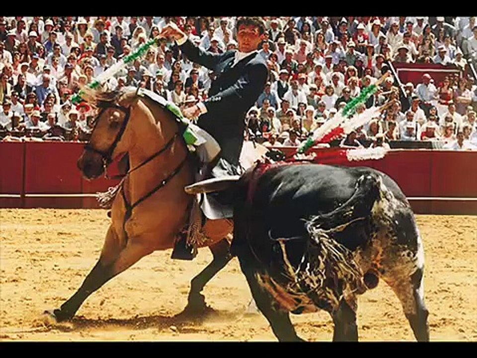 caballos de rejoneo