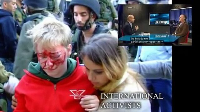 Norman Finkelstein International Law and War Crimes Israel / Palestine