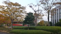 奈良交通貸切バス：日野初代セレガ：京都府精華町ATRにて (2012.11.08)