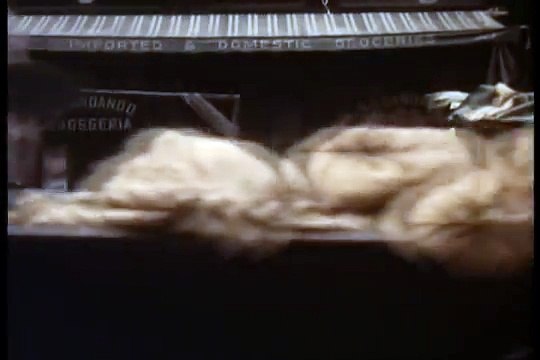 Fanucci's 2nd death! A deleted scene from Godfather II