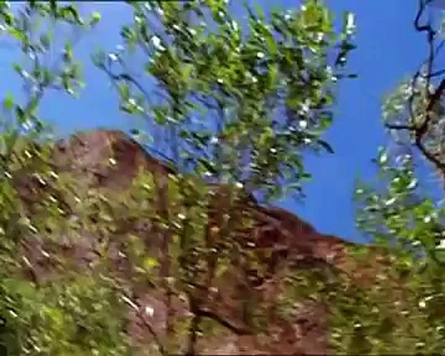 Kanyini - Film Trailer