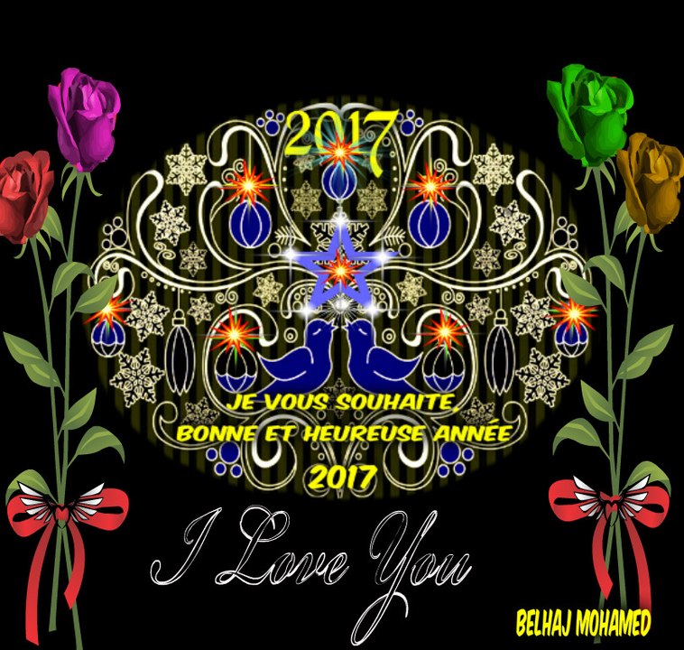 -Regardez le point rouge sur le nez pendant une trentaine de secondes-Ensuite regarder vers un mur ou un plafond blanc de preference (surface plane) ou sur une page blanche de votre nagvigateur.-et clignez plusieurs fois des yeux assez rapidement (mais