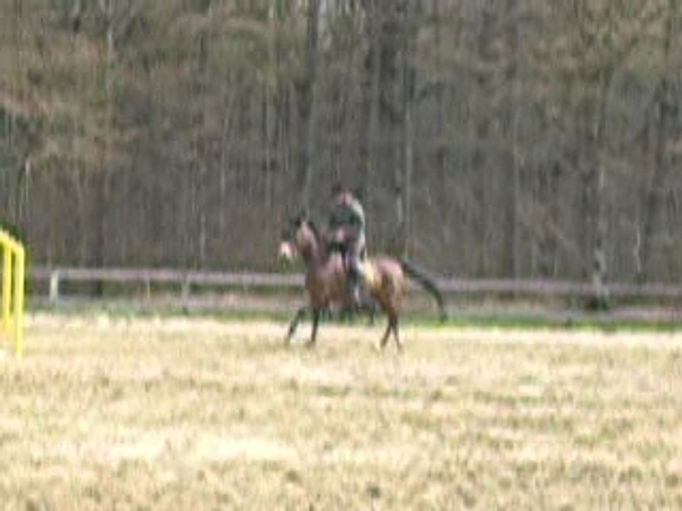 Native Madine 2007 premier tour