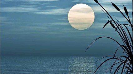 Lake of Purity │ Midori