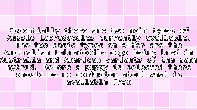 Breeders Of Australian Labradoodles For Sale In Indiana