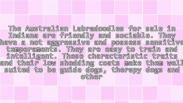 Breeders Of Australian Labradoodles For Sale In Indiana