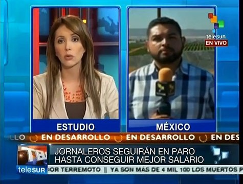 México: Jornaleros preparan boicot contra productos de San Quintín