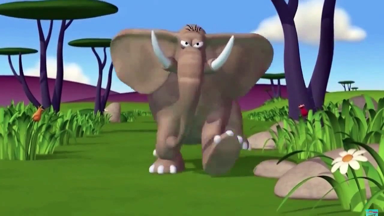 Kids Animation Cartoon Animals Funny Series
