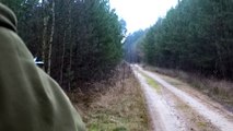 Drückjagd in Polen - polowanie na dziki- vildsvinsjakt - driven hunt Chasse Au Sanglier drivjakt