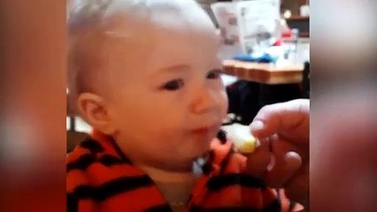 Babies Taste Sour Foods For The First Time