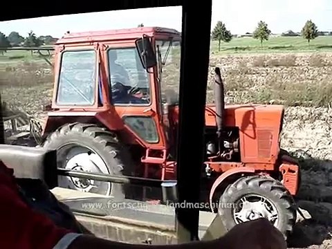 Fortschritt ZT 323 / E 686 & Belarus MTS 82 bei der Kartoffelernte