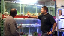 Sea Atlanta - Georgia Aquarium Store
