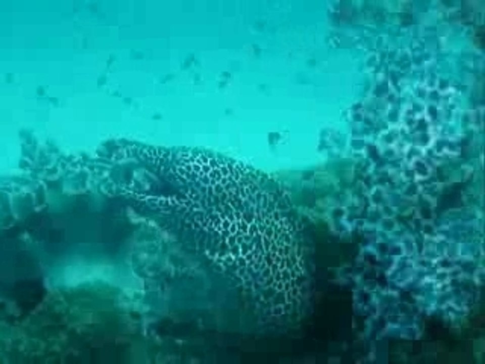 La mer 2