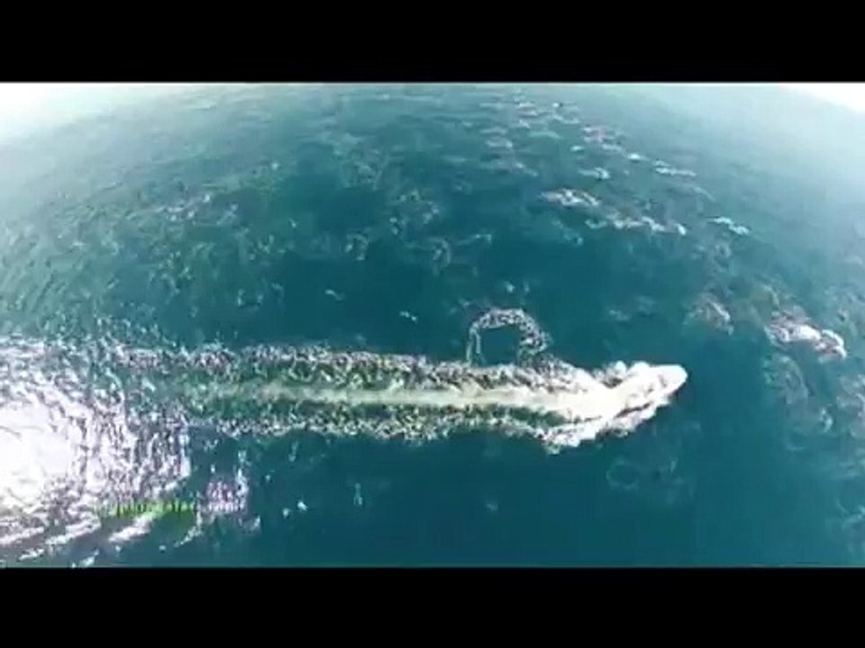 Con ayuda de un dron científico filma sirenas en el pacifico de nuestro país
